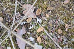 260119 sudajii  no donnguri no kara s-IMG_8204.jpg