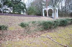 260120 sudajii no ki tono kyori s-IMG_8296.jpg