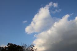 260127 kumo ga uma ni mieru s-IMG_9242.jpg