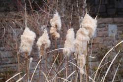 260128 himegama no ho ga watagashi s-IMG_9699.jpg