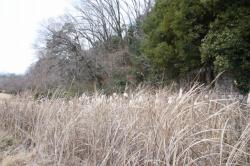 260128 himegama no ho s-IMG_9682.jpg