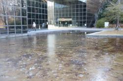 260202 nakaniwa no puru no mizu ni koori ga s-IMG_1118.jpg