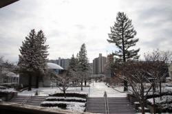 260209 enntorannsuho-ru syuuhenn no yukigeshiki  s-IMG_2494.jpg