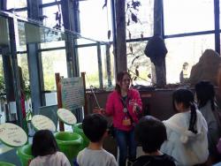 260301 boruneo tsua s-P3010834 copy.jpg