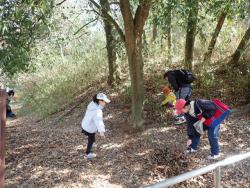 260301 fuyu no mushi sagashi s-P3010799.jpg