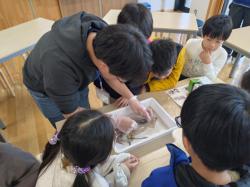 260301 ika no nanndenan s-20260301_112442.jpg