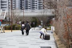260314 sekoia no ochi eda wo hirotteita kodomo s-IMG_6656.jpg