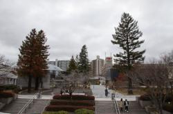 260315 entorannsuhoru no ura no sekoia s-IMG_6797.jpg