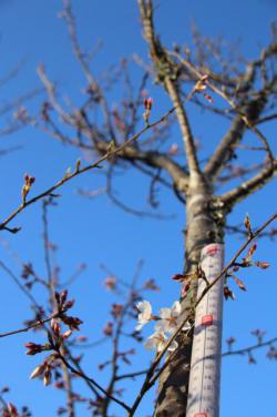 260326 edohigann s-IMG_8915.jpg