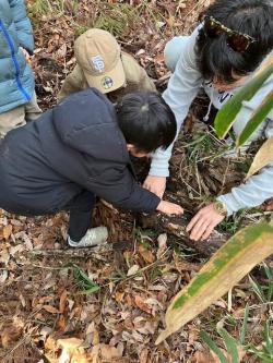 260301 fuyu no mushi sagashi s-IMG_6329.jpg