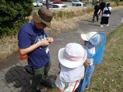 260405 mushi no nanndenenn s-P4050977.jpg