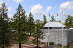 260428 sekoia no ki  s-IMG_5761.jpg