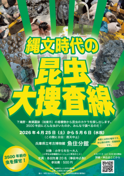 jomon-daisosasen_leaf.pngのサムネイル画像