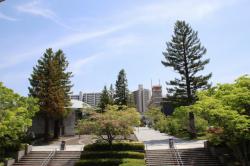 260502 sekoia no kokuboku ga  s-IMG_7677.jpg