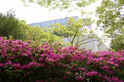 260503 s-IMG_8169.jpg