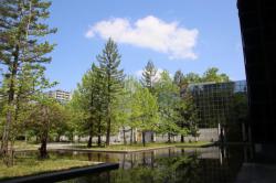 260515 nakaniwa s-IMG_2855.jpg