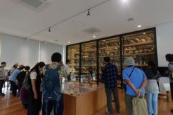 DSC04413.jpg