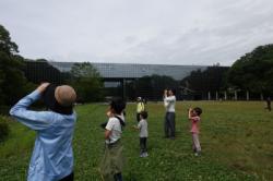 DSC04447.jpg