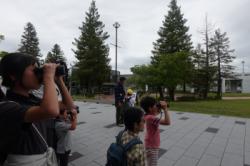 DSC04418.jpg