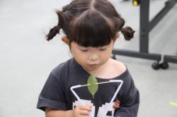 260607 happaguruguru s-IMG_8471.jpg