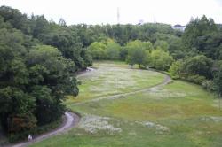 260621 himejyonn no hana s-IMG_3596.jpg