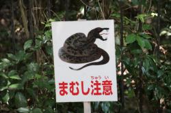 2600 mamushi cyuui no kannbanns-IMG_9935.jpg