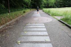 260707 harigiri no ochiba s-IMG_6615.jpg