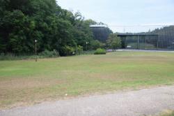 260717 nannshiki bouru s-IMG_8250.jpg