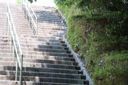 260718 fukatakouen no kaidan s-IMG_9940.jpg