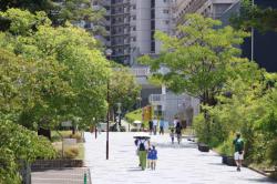 260802 korekusyonariumu mae s-IMG_0837.jpg