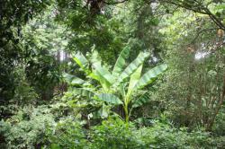 260807 basyou s-IMG_2056.jpg