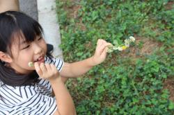 260906 fuunyuu hyouhon s-IMG_9386.jpg