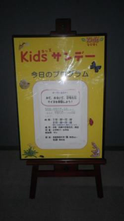 260906 kyouryuu kaseki s-IMGP0216.jpg