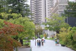 260927 enntorannsu yoko no ryookudou s-IMG_3530copy.jpg