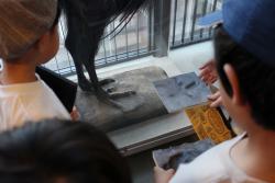 IMG_6367.JPG圧.JPG