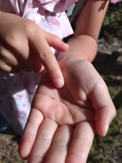 20261017_131615.jpg