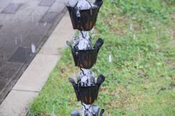 261004 korekusonariumu s-IMG_4730.jpg