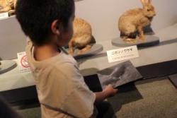 IMG_6360.JPG圧.JPG