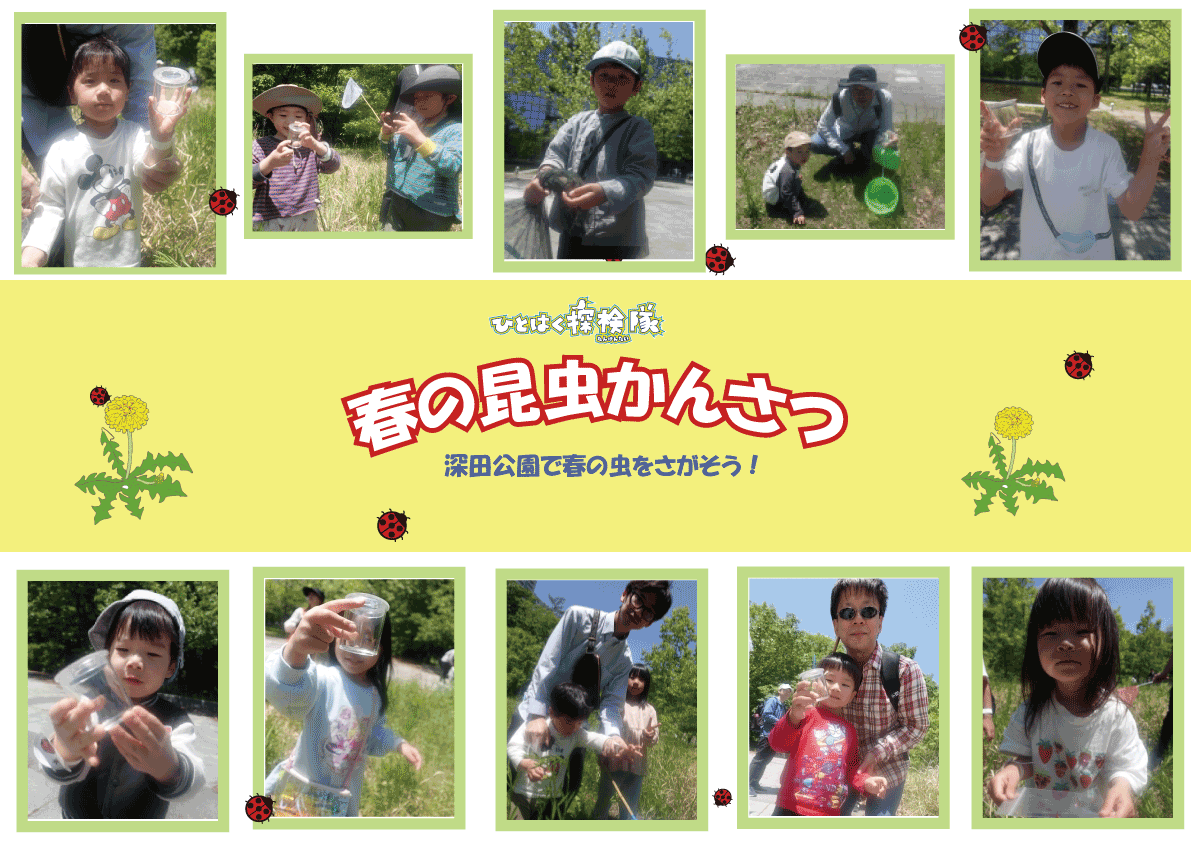 春の昆虫観察ブログ写真　作成中-[復元].gif