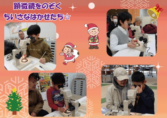 sちいさな化石クリスマスブログ1.jpg