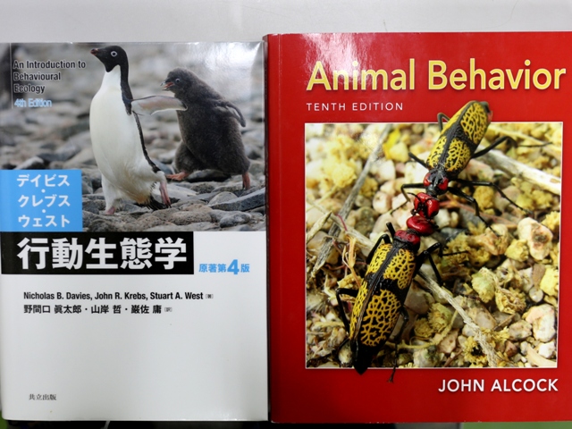 博物館で学ぶ「動物行動学」基礎講座を開催します - 兵庫県立人と自然