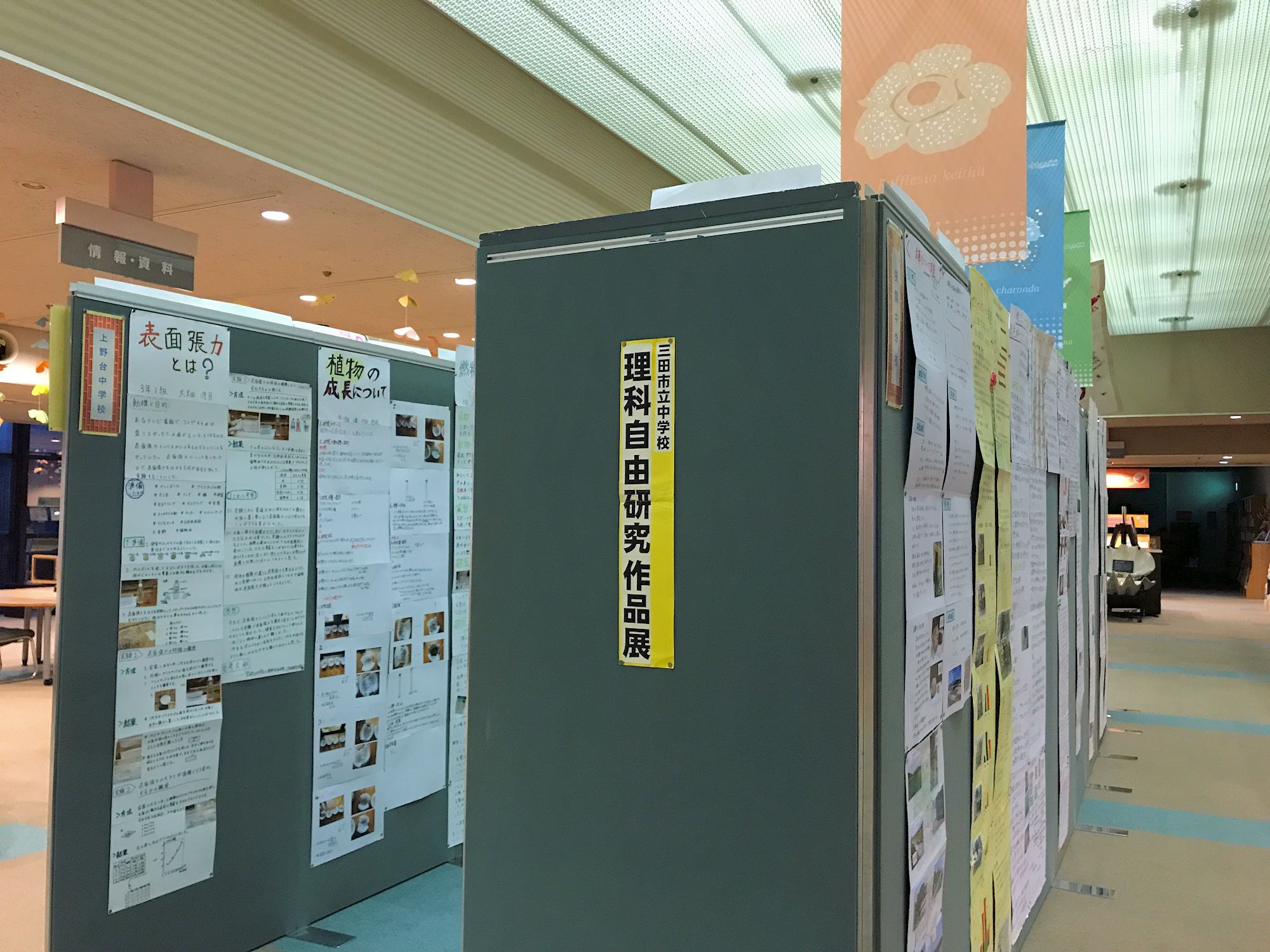 三田市立中学校理科自由研究作品展 を10月2日まで開催しています 兵庫県立人と自然の博物館 ひとはく ひとはくblog