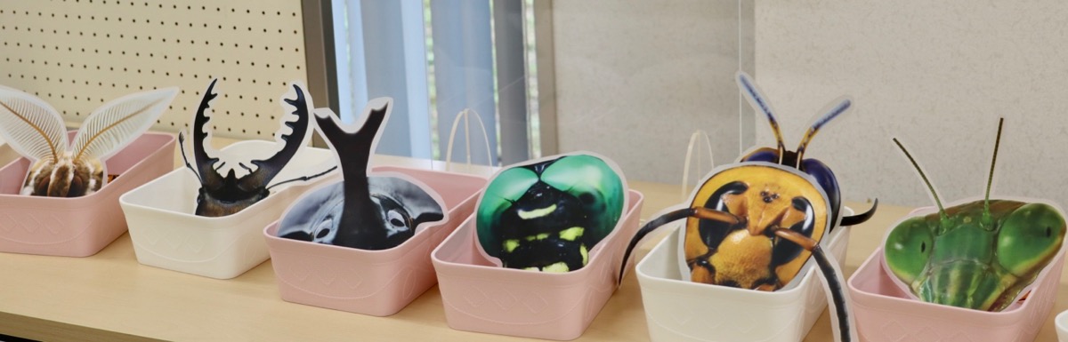 https://www.hitohaku.jp/blog/hattacomicen2023_4739.jpg