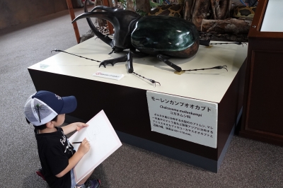 s-DSC00717.jpg