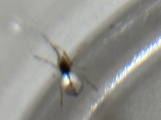 sIMG_9350.jpg