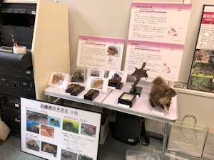 science-fair202003.JPG