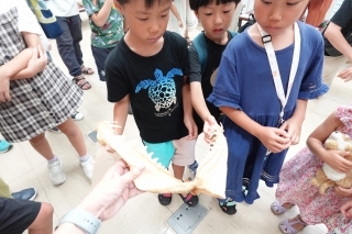ssDSC01488.jpg