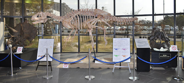 ひとはく恐竜ラボ - 兵庫県立 人と自然の博物館（ひとはく）