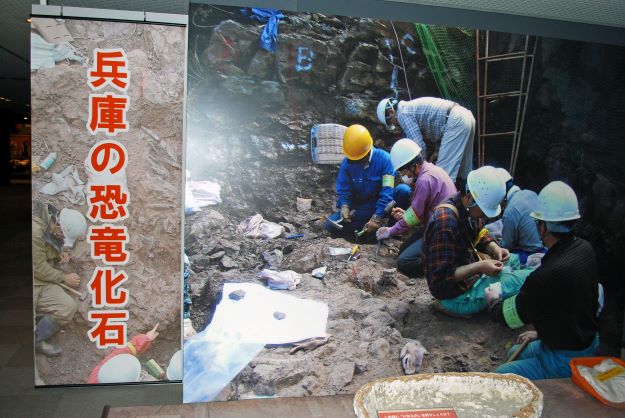 Dinosaur Fossils in Hyogo