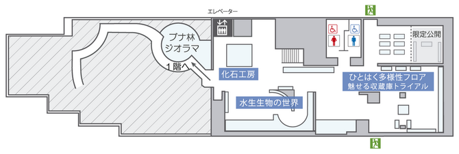 perm_floor2f_0.png